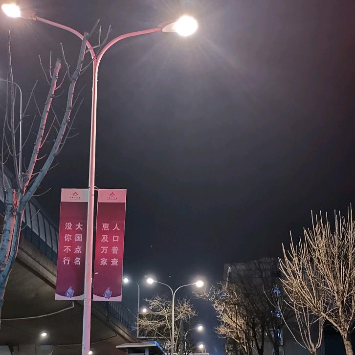 小灰黑