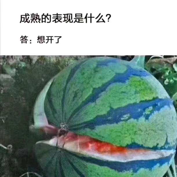 老四
