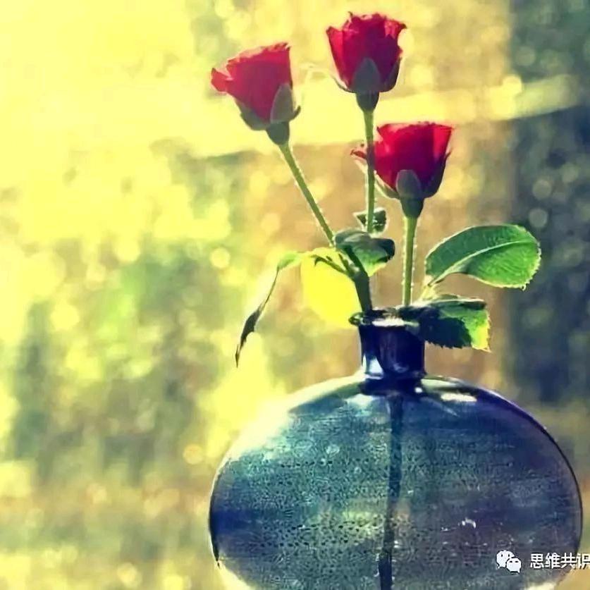 安好舞动