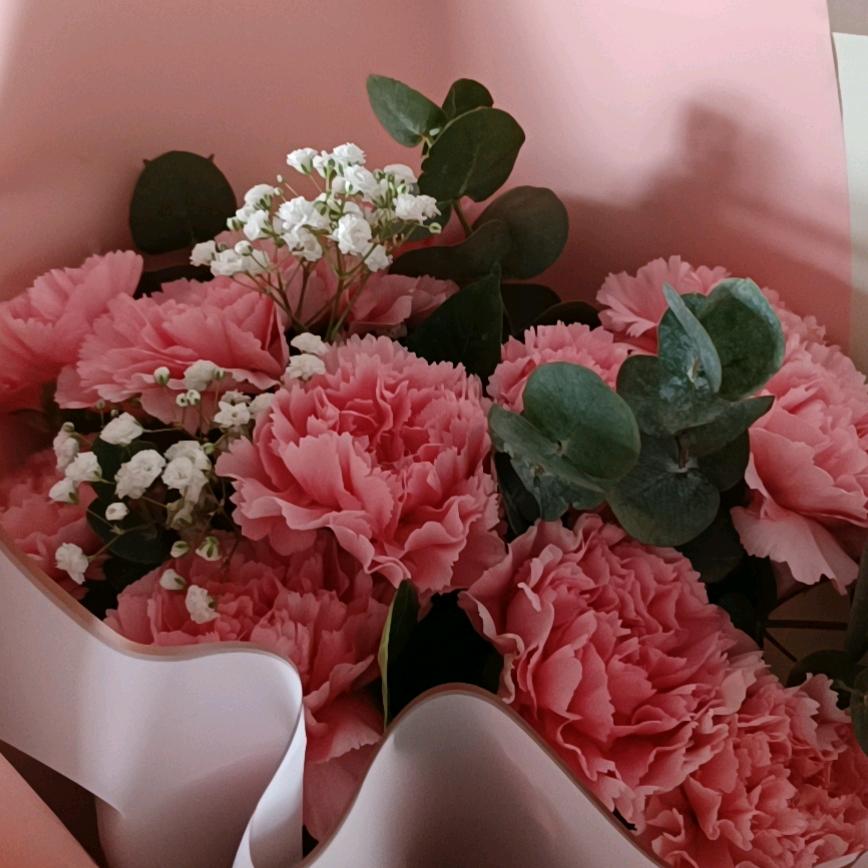 宝葫芦
