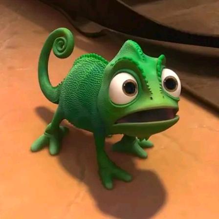 🌈🌈阿里，Gilbert🌄