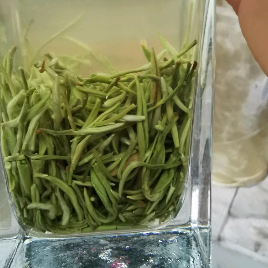 毛姐茶叶批发
