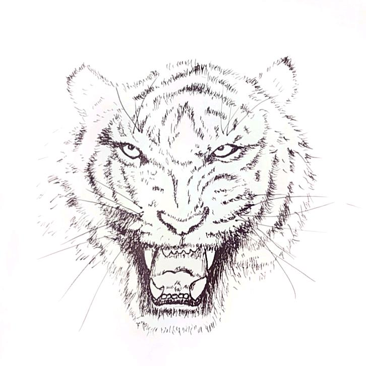 绅士（戒烟中）