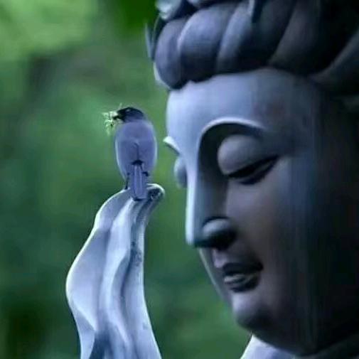 紫荆书画•印石