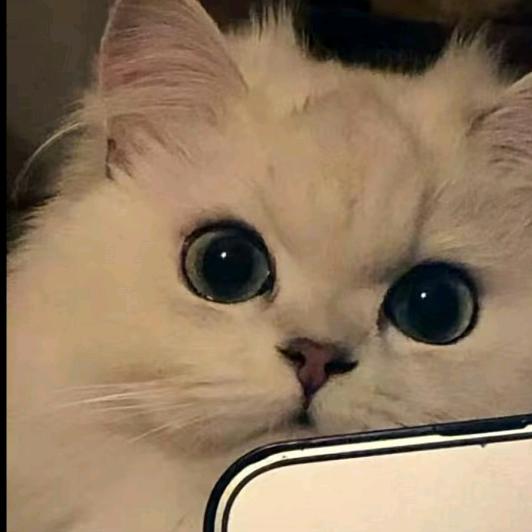 😁😂😁😂😁😂