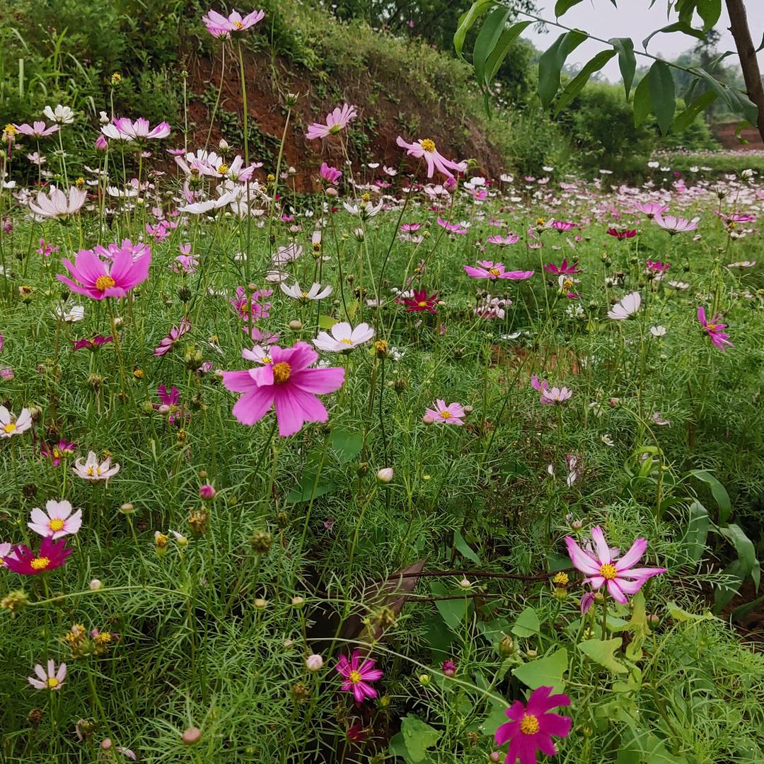 用户7399085851630封心锁爱