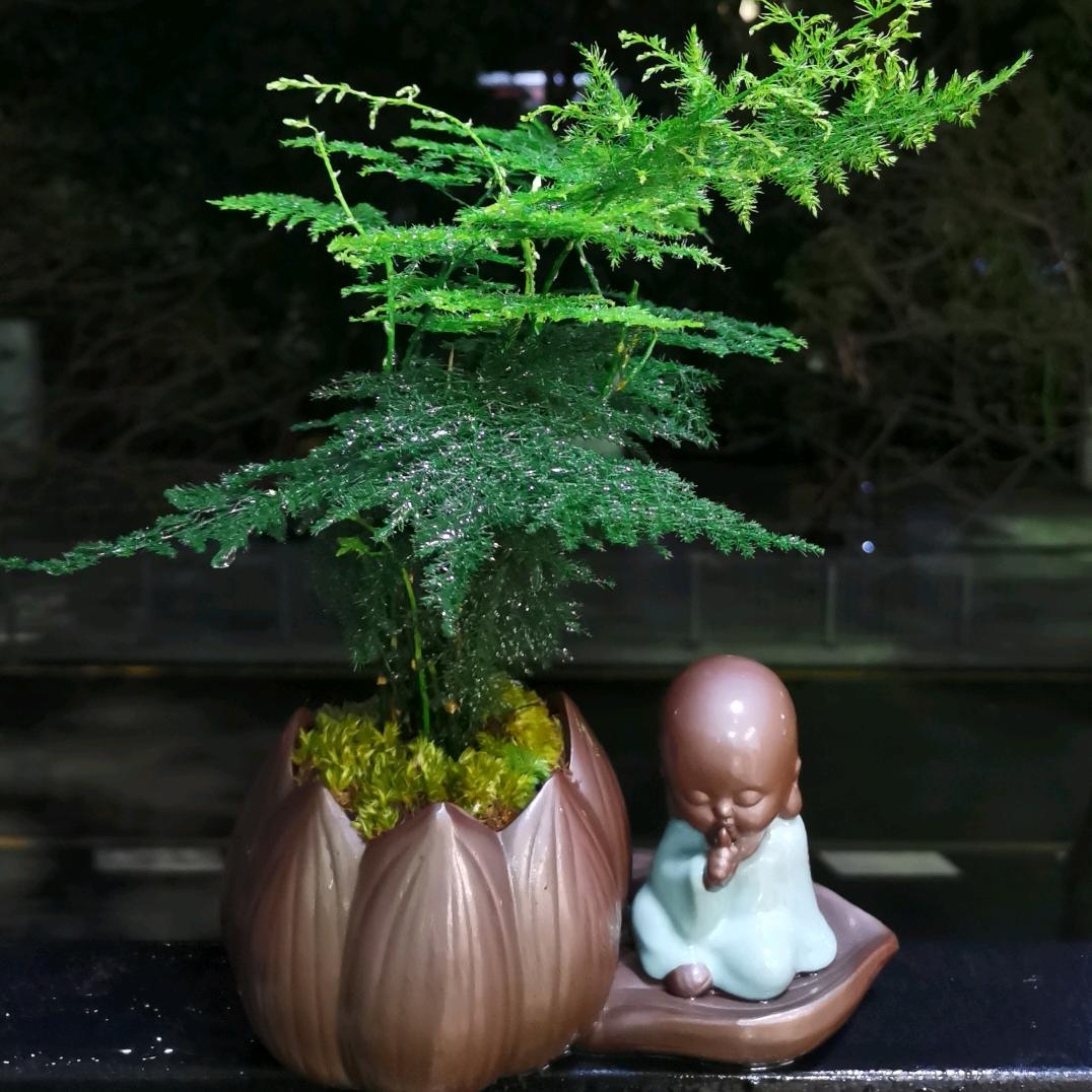 胡思妙想（好朋友信息）