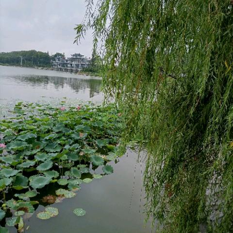 冬天来了记得保暖