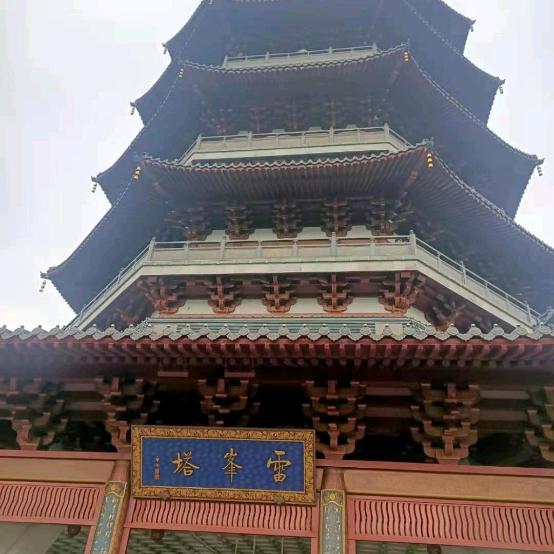 萍聚🐭🐭🐭渠县