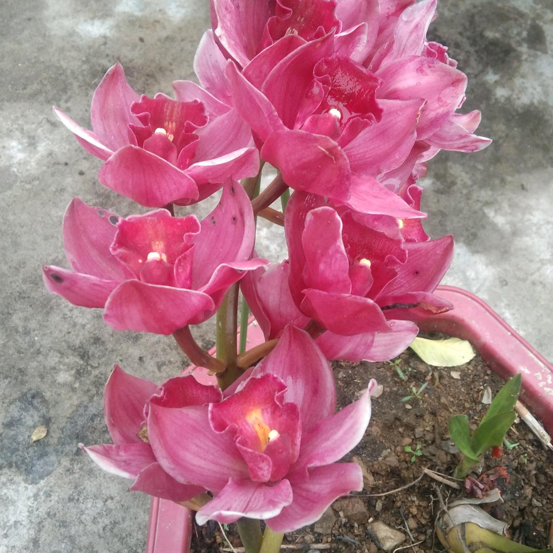 健康快乐。