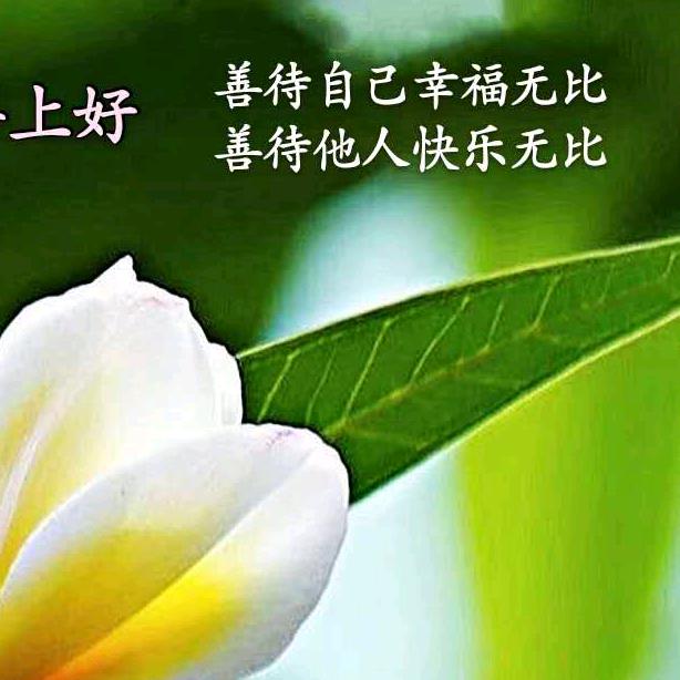 华上