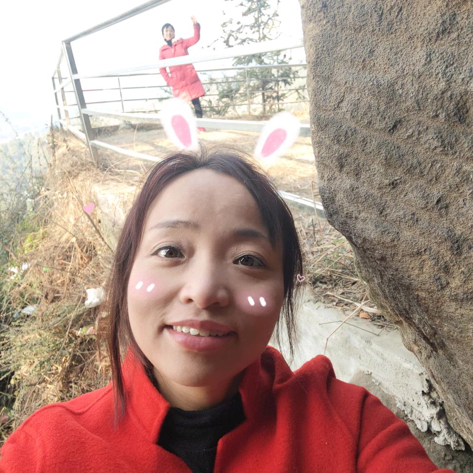 勤劳小蜜蜂