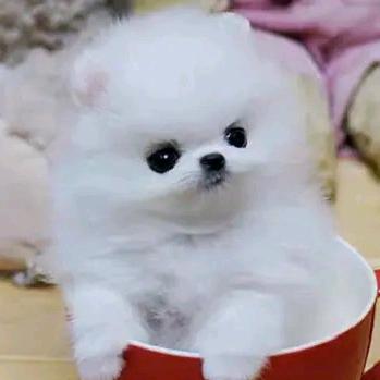 👫不忘初心为你而来👫