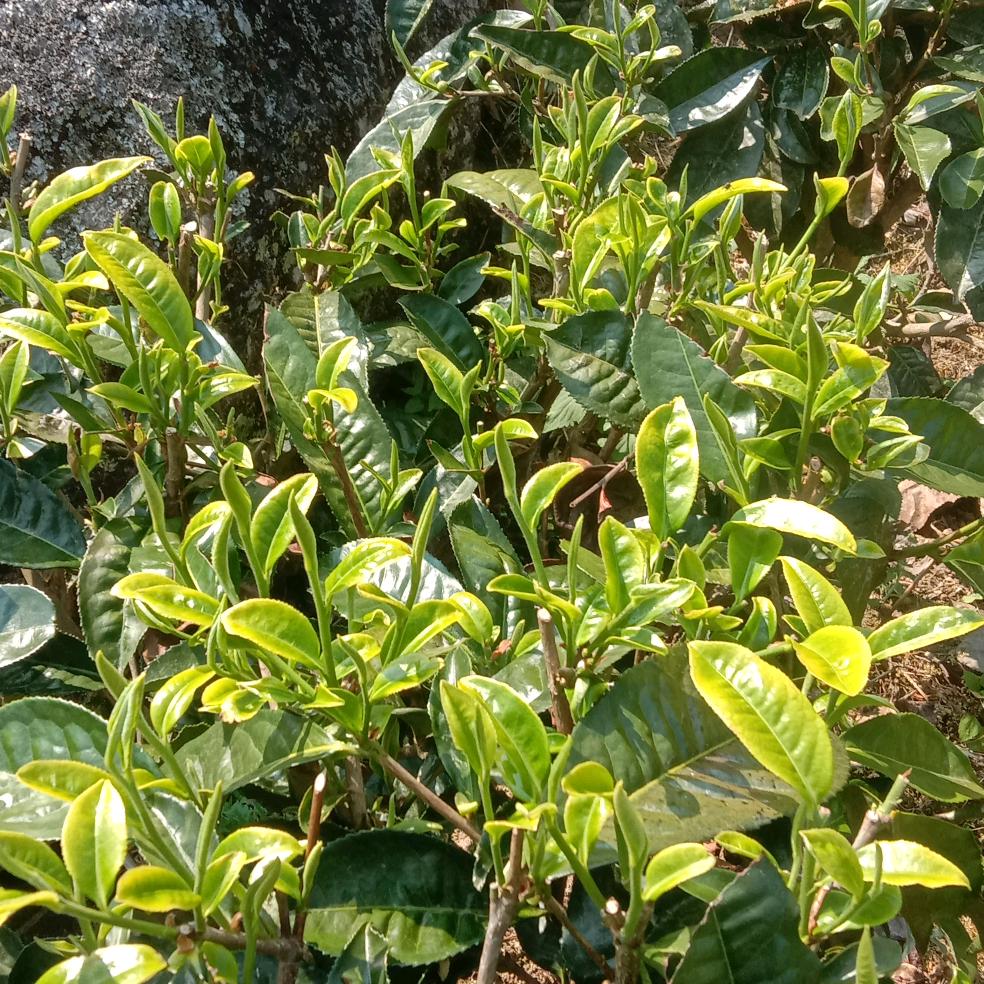 一路走来 要平安