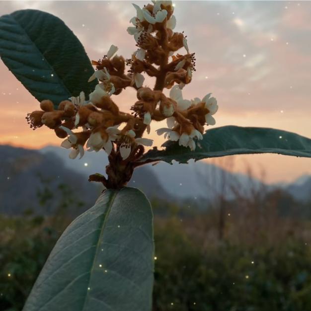 🥀এ᭄中国好邻居ꦿ🦋ོ࿐ᩚ