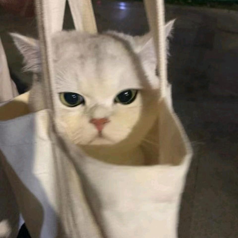 jjjj贝贝 贝贝贝