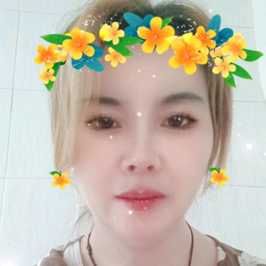凤飞杨