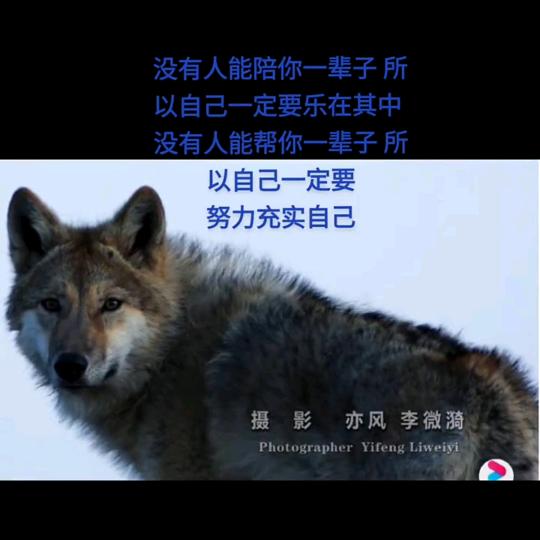 时间过客