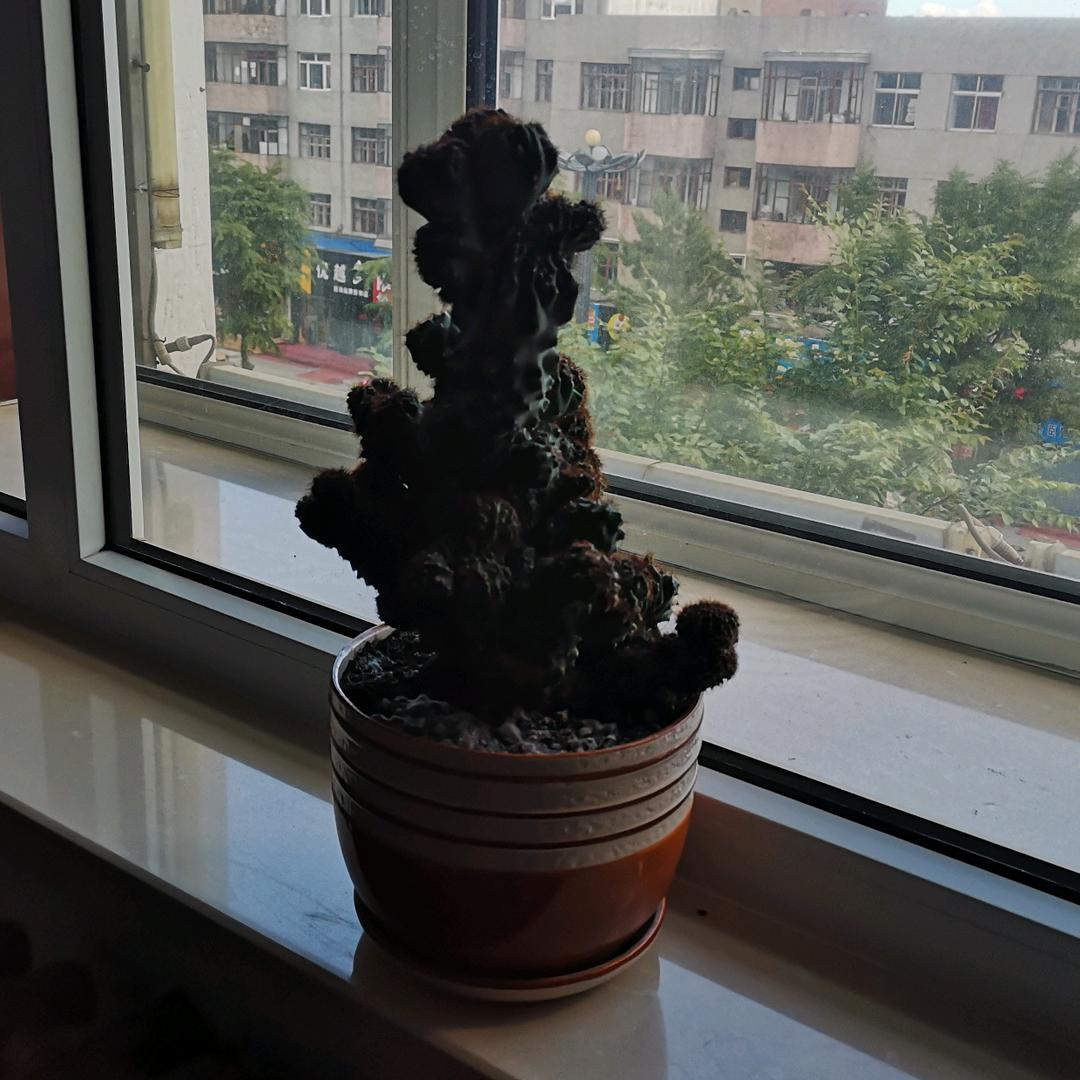 风送我远行