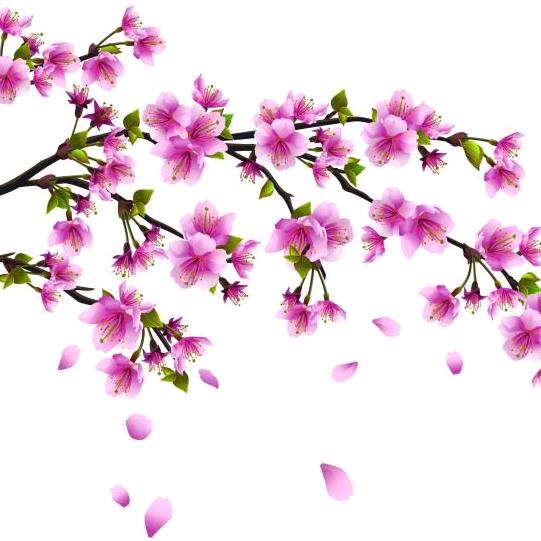 桃花依旧笑春风🍎🙏