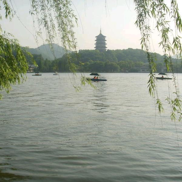 阳子Cuiyz