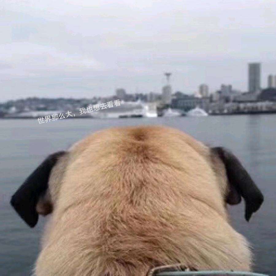 机电天下