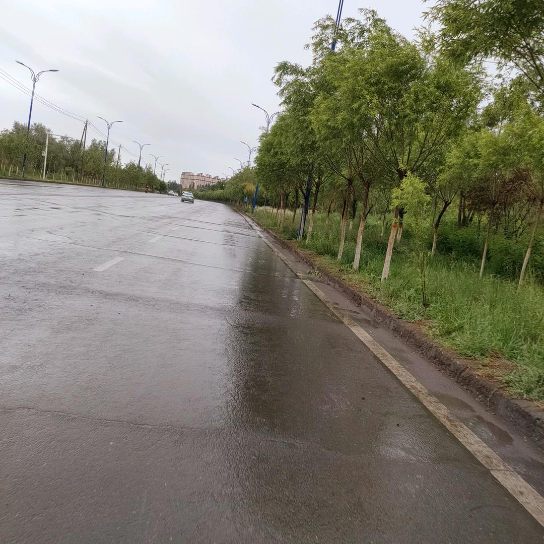 阿瓦古丽