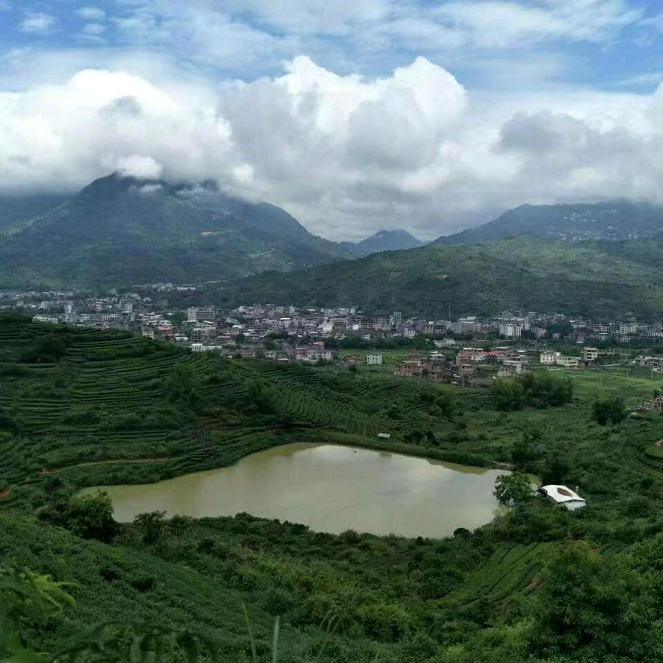 龙港区老基地-秋香坊茶行