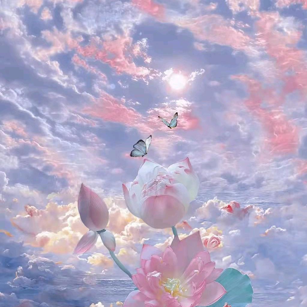 自在自游