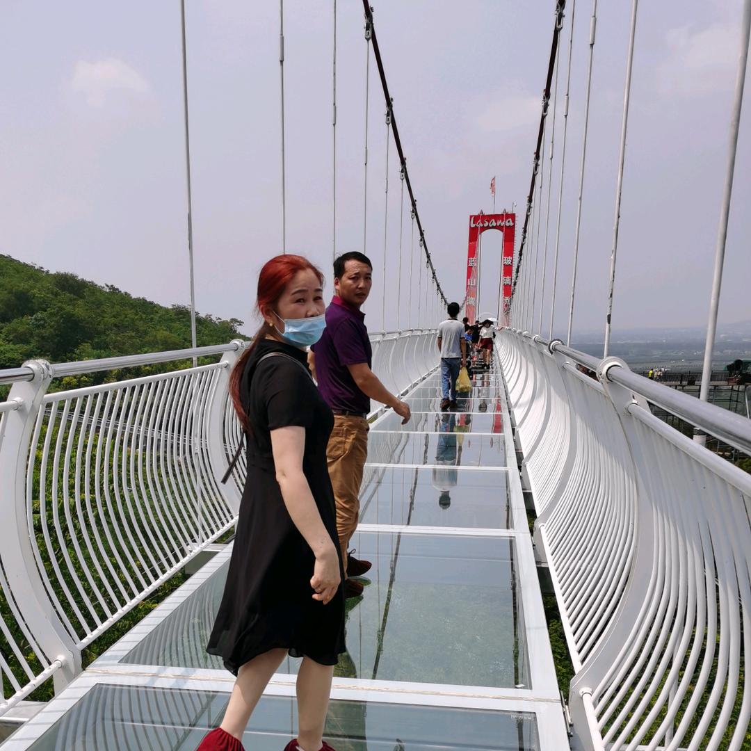 手机用户72709071540