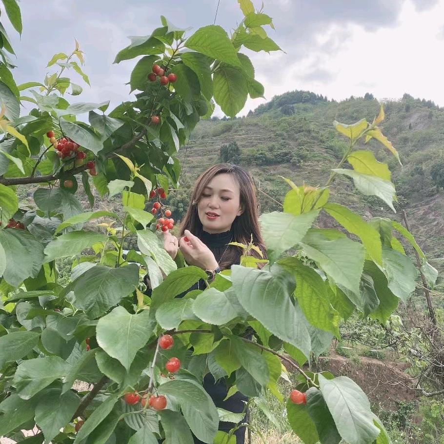 用户5363189471604雁儿