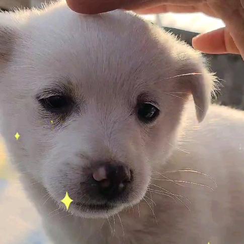 我的诗和远方