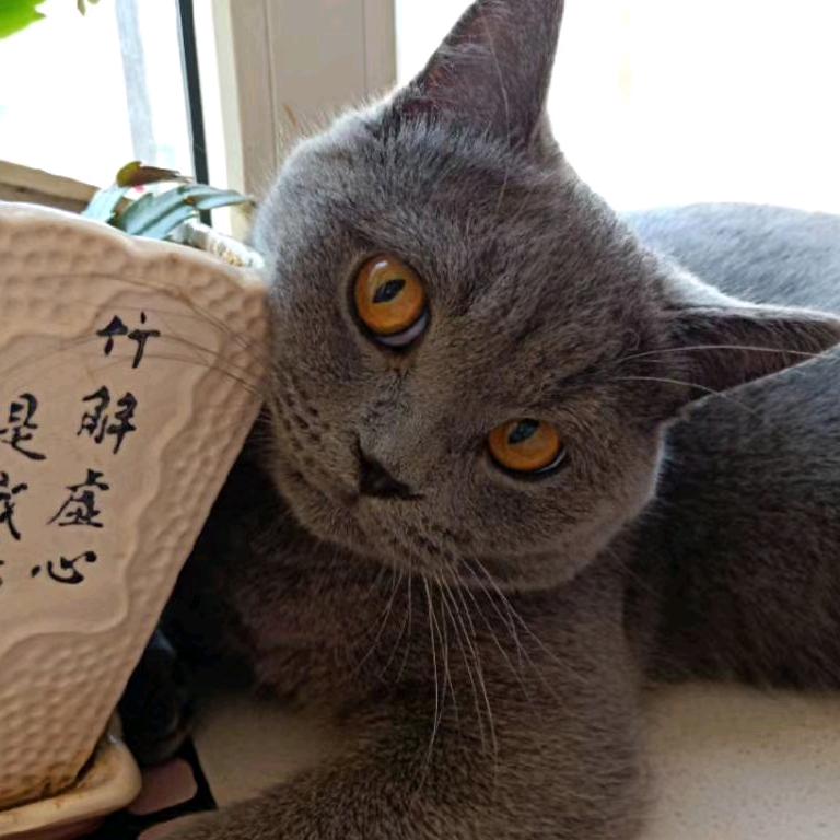 🌈🌈锣锣麻麻