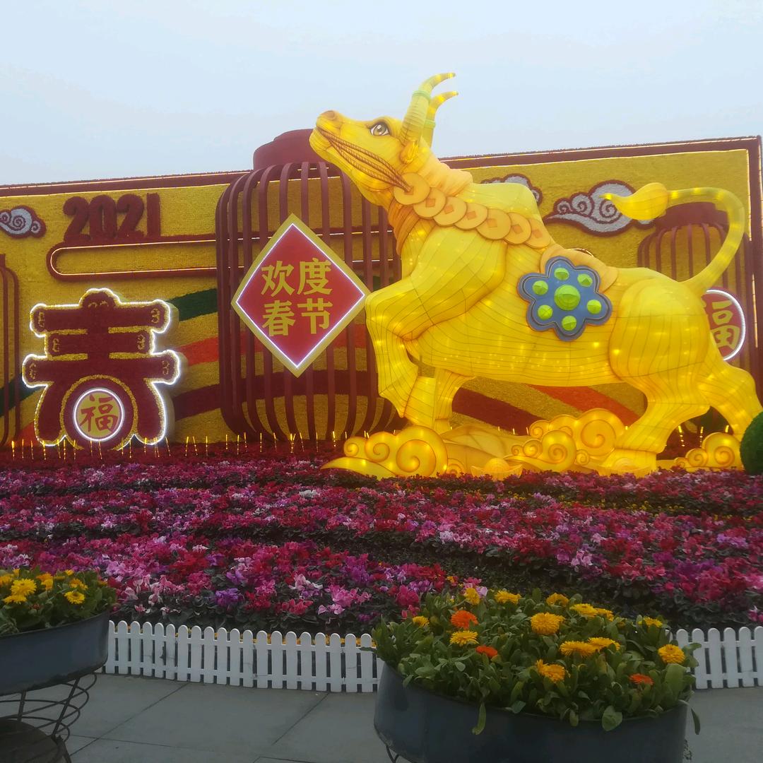 用户614929612217六龄童