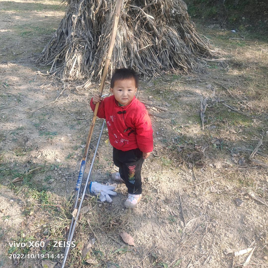 无敌小飞猪