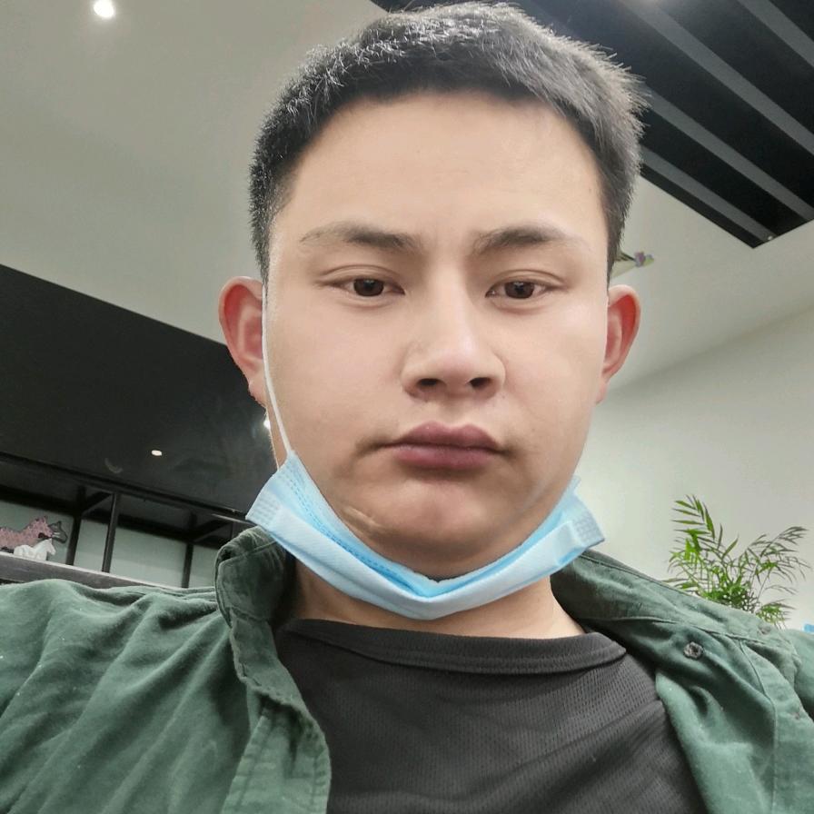 火龙鸟