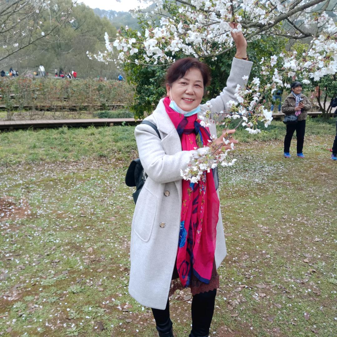 李仲桃