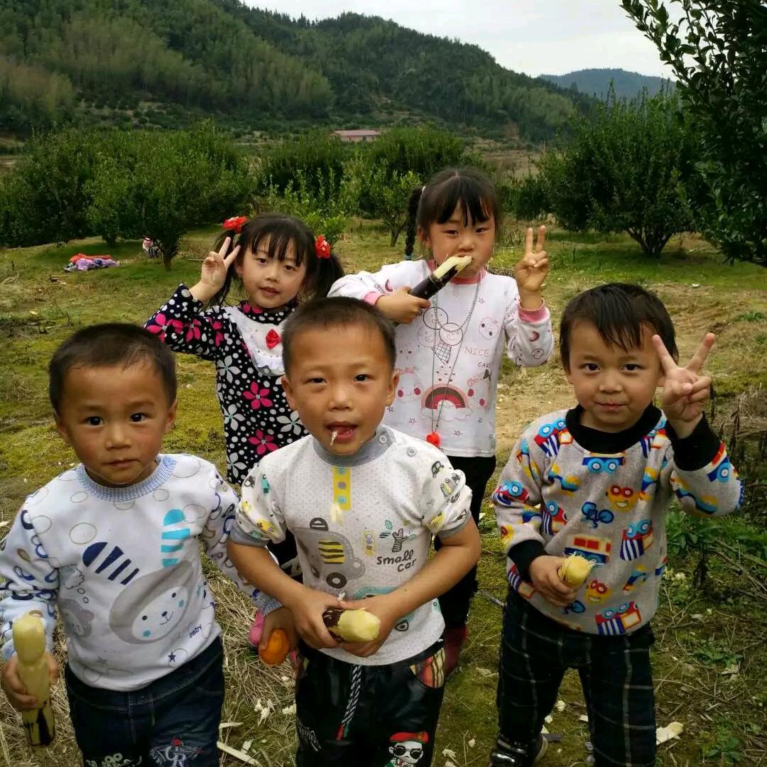 金龙余交通设施