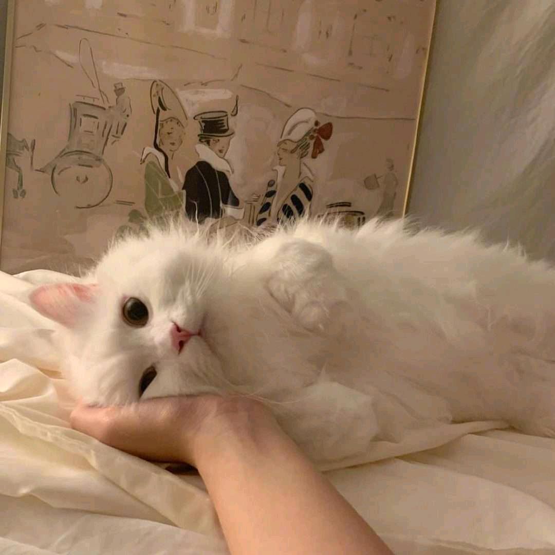 ajiao💕