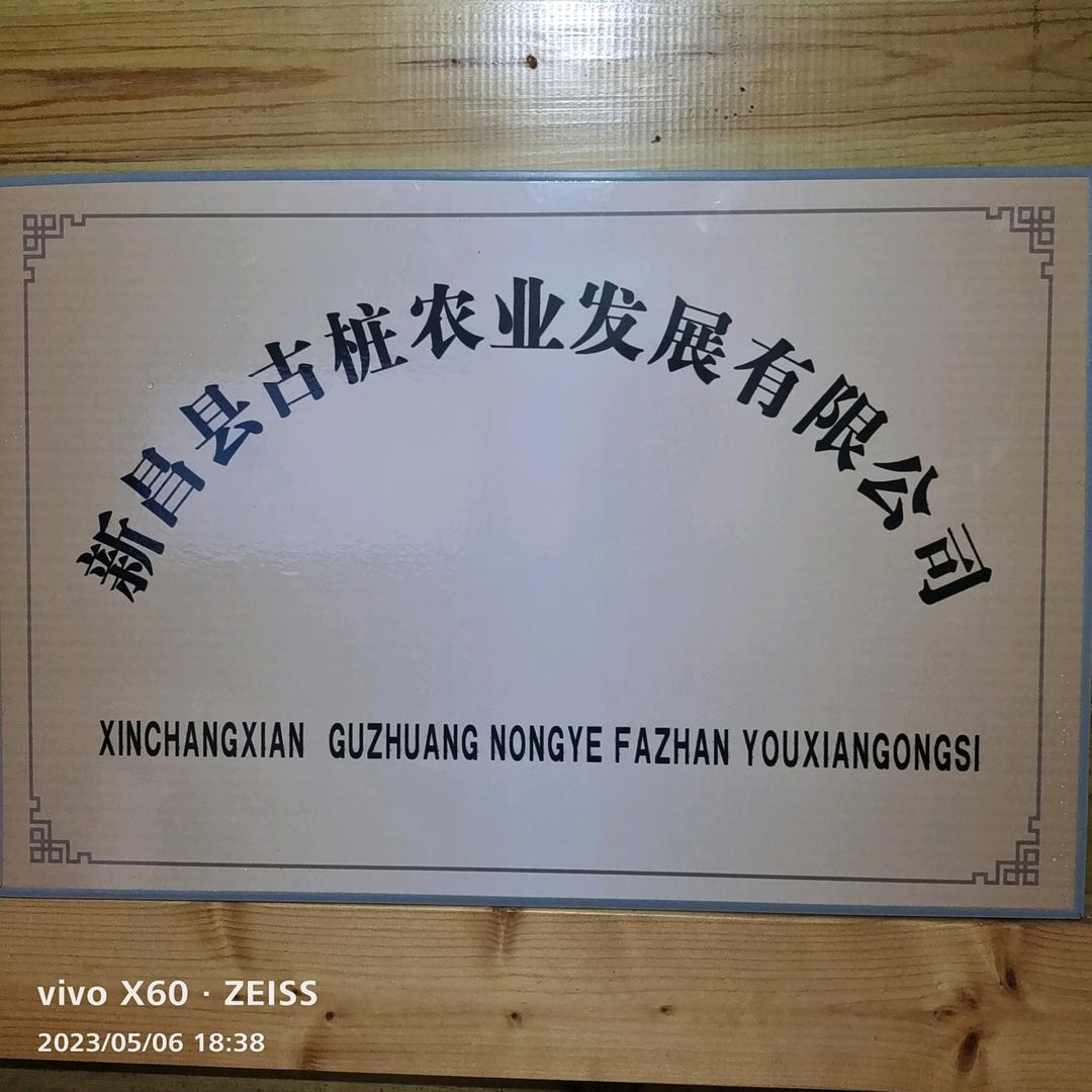 古桩果树苗木旗舰店