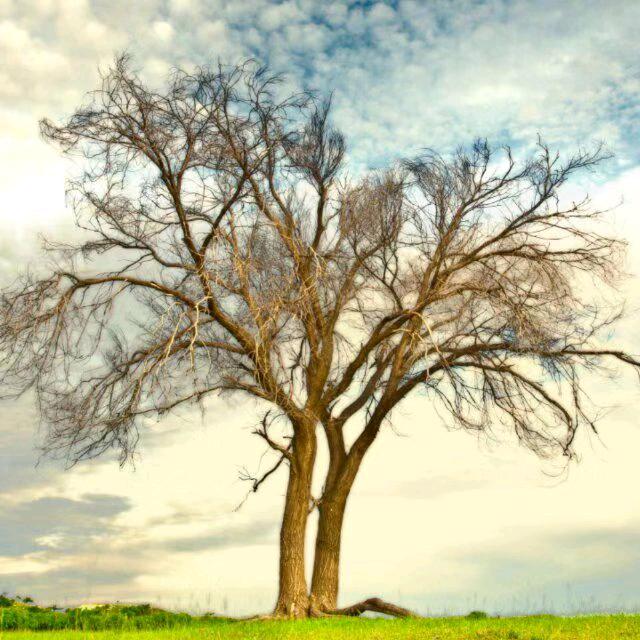 西段屯老郝肉铺