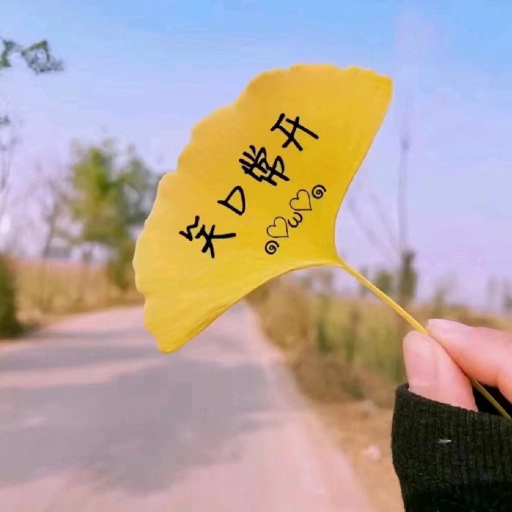 小猪🐷胖胖～