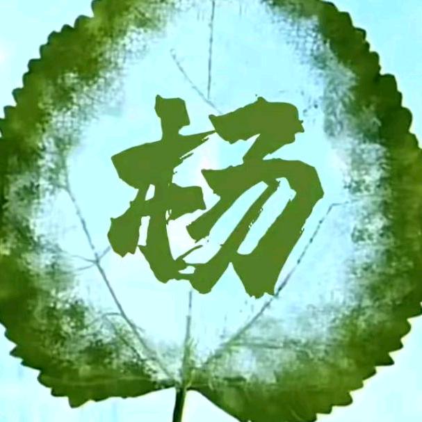 杨永坤（非杨勿关）