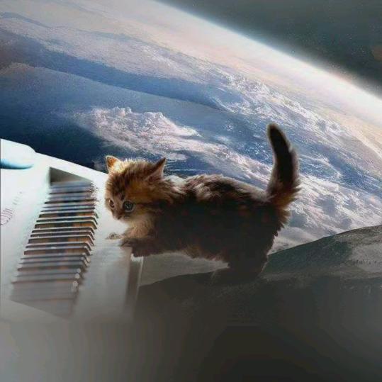 Yyyyy