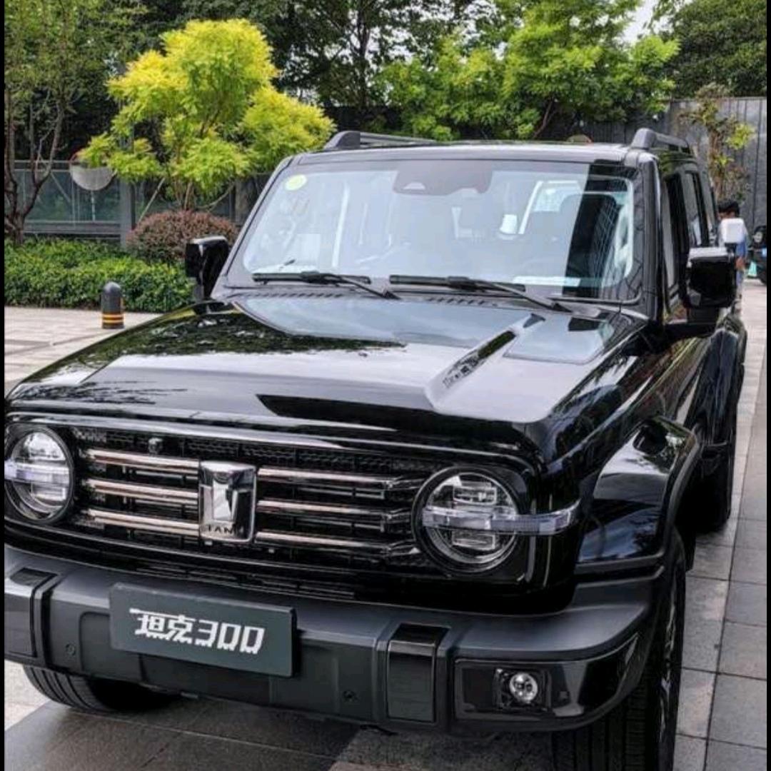 Lei,途虎养车