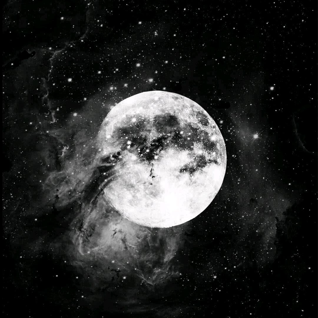 榆木脑袋T^T