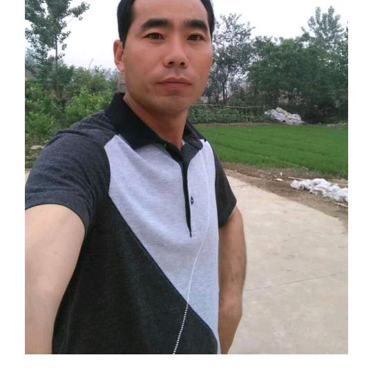 陇集曹伯军车行