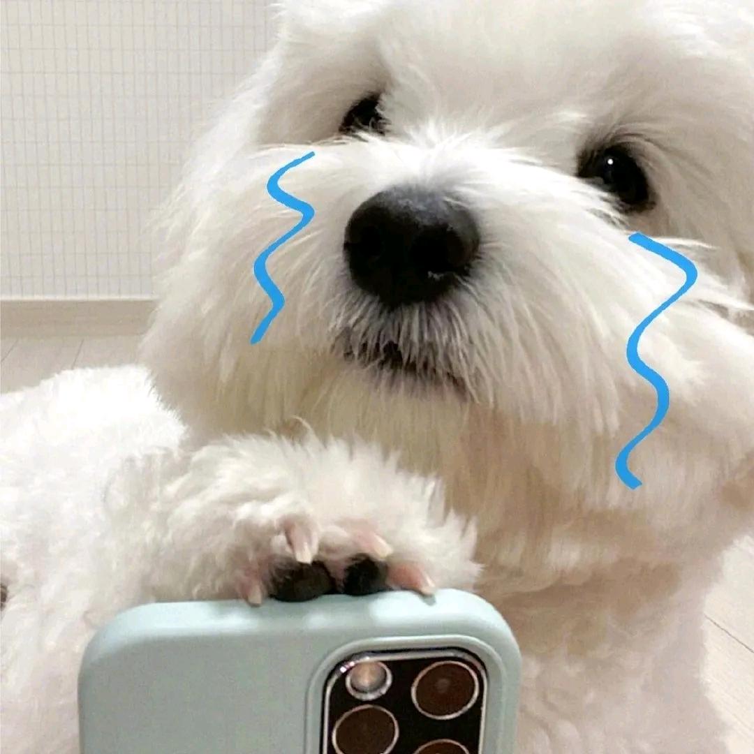 終㸃💔ོএ