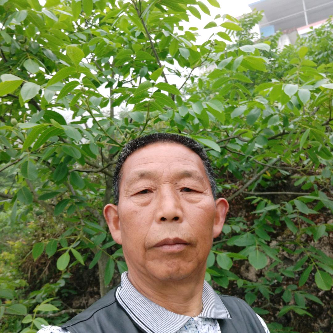 老刘，中午10点58开播