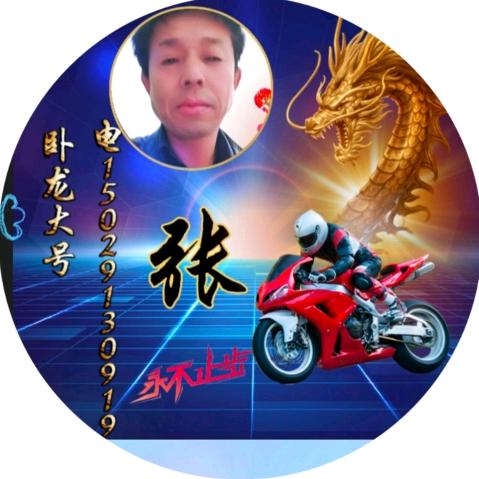 卧龙大号